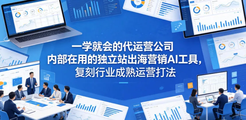 一学就会的代运营公司内部在用的独立站出海营销AI工具，复刻行业成熟运营打法-706资源网