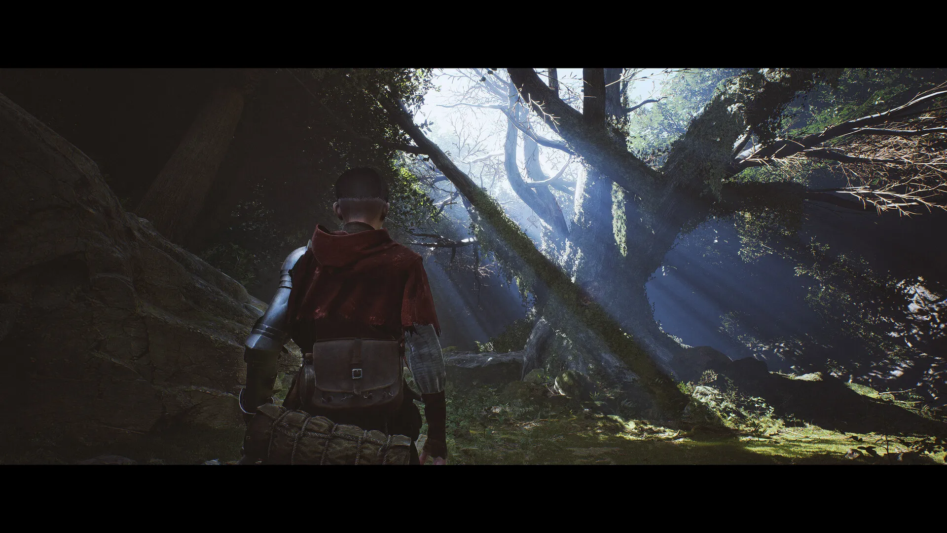 1348：圣誓/1348 Ex Voto