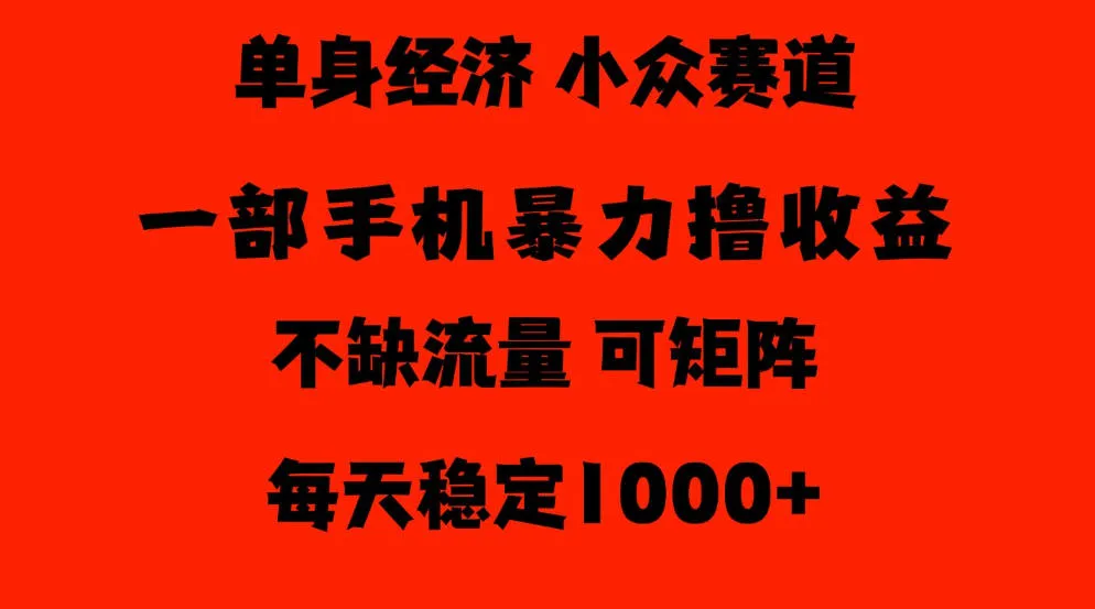 26年暴力单身经济，稳定日入500-1k，不缺流量，流量极大，冷门小众赛道，门槛低小白轻松上手【揭秘】-706资源网
