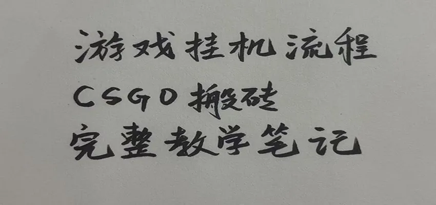 游戏挂机全流程笔记分享，CSGO游戏搬砖，小白看了当天学会见收益-706资源网