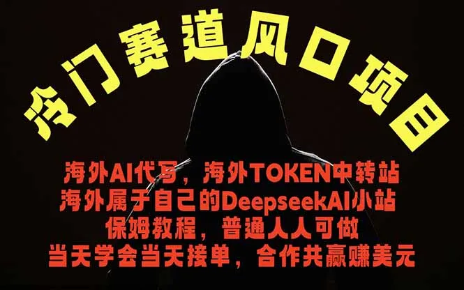 冷门赛道风口项目 海外AI代写！0成本运作完全免费！当天注册当天接单，接单接到手抽筋，无脑…-706资源网