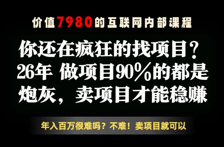 26年请不要疯狂的找项目了，卖项目远比你想象的暴利，你也可以月入10W+【揭秘】-706资源网