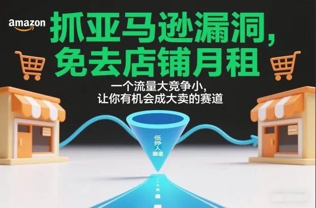 抓亚马逊漏洞，免去店铺月租，一个流量大竞争小，让你有机会成大卖的赛道-706资源网