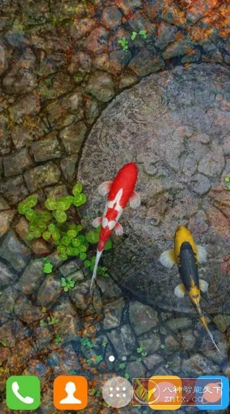 Water Garden Live Wallpaper 锦鲤3D动态壁纸2.08专业版-706资源网