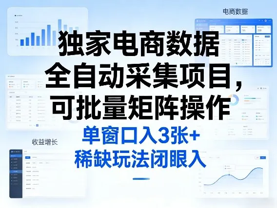 独家电商数据全自动采集项目，可批量矩阵操作，单窗口日入3张+，稀缺玩法闭眼入【揭秘】-706资源网