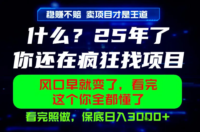 26年,请不要疯狂的找项目做了!卖项目才是真的稳賺不赔,看完照做,保底日入1k+【揭秘】-706资源网
