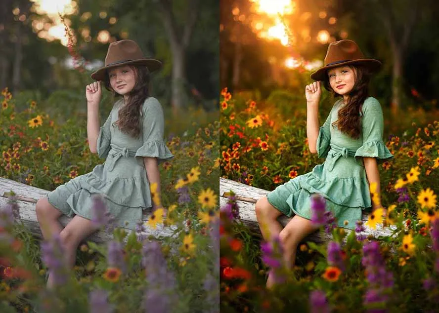 大师级GTG出品-老友记系列AI自适应预设The Friends Preset Collection-706资源网