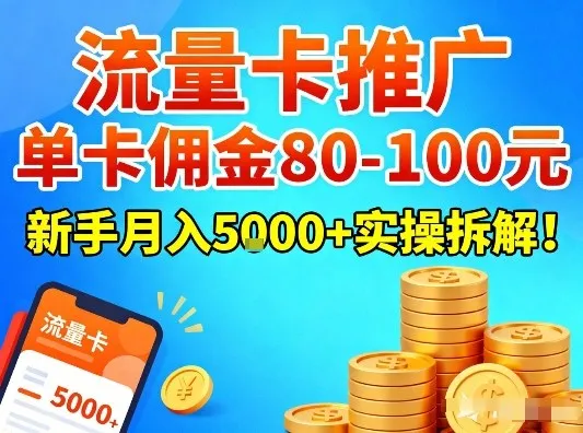 流量卡推广，单卡佣金80-100，新手月入5k+实操拆解！-706资源网