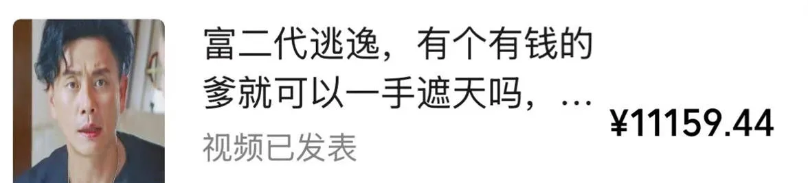 视频号某大佬的影视搬运教学,纯手法操作,可以多个平台可以发布,撸分成计划+伙伴计划+光合计划收益等-706资源网