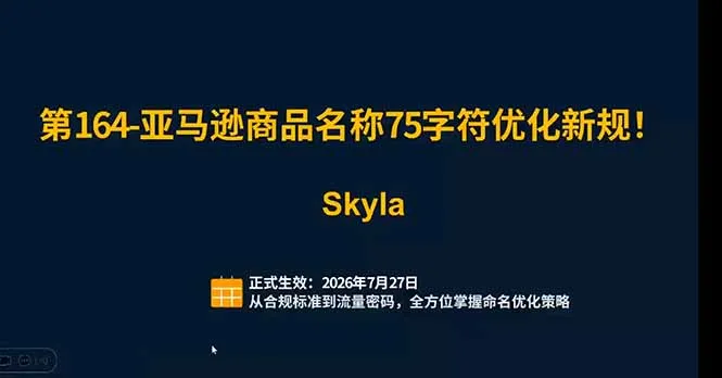 亚马逊跨境实战课:全品类选品逻辑|SP/SB/SD广告精细化|新品打爆旺季爆单全套运营教程-706资源网