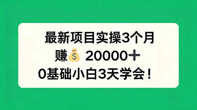 最新项目实操3个月，赚钱20000+，0基础小白3天学会！-706资源网