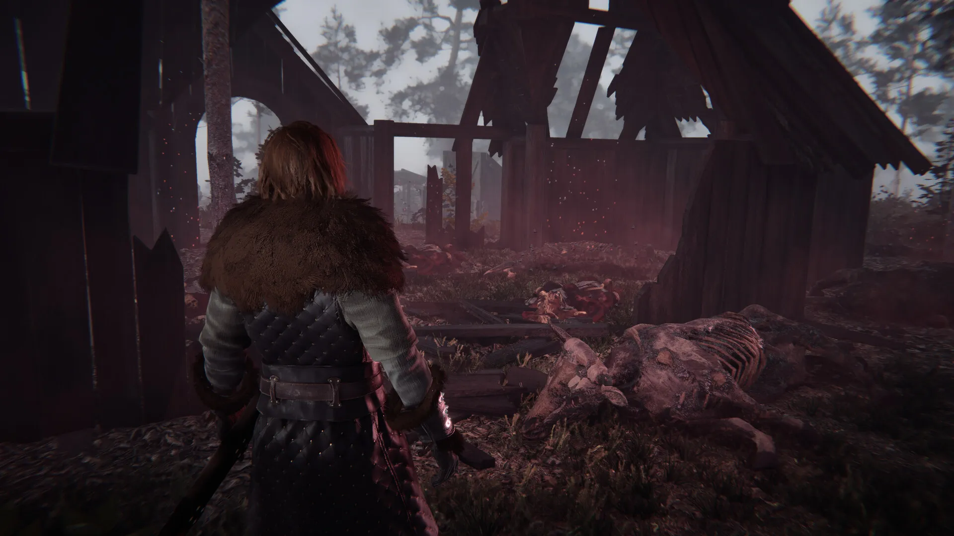 覆巢之地/Nested Lands