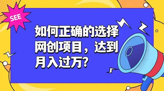 如何正确的选择网创项目，达到月入过万？，本课程教你正确选择项目。-706资源网