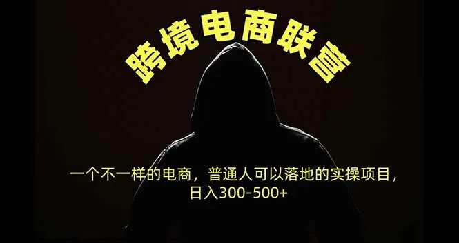 （20702期）跨境电商联营，一个不一样的电商，普通人可操作日入300-500+-706资源网