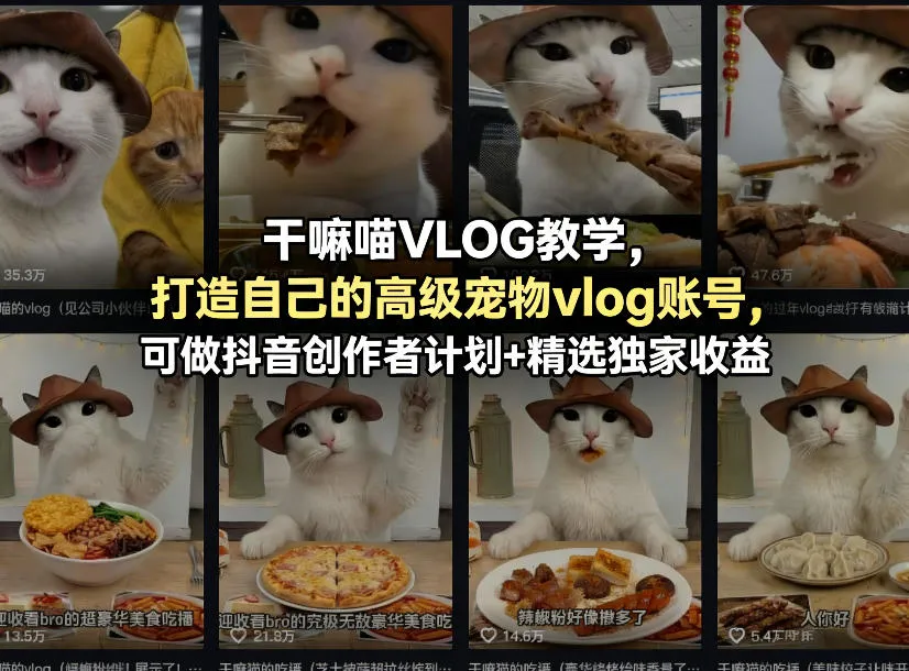 干嘛喵VLOG教学，打造自己的高级宠物vlog账号，可做抖音创作者计划+精选独家收益-706资源网