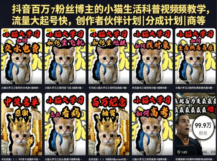 抖音百万粉丝博主的小猫生活科普视频教学,流量大起号快,创作者伙伴计划|分成计划|商单|收徒等-706资源网