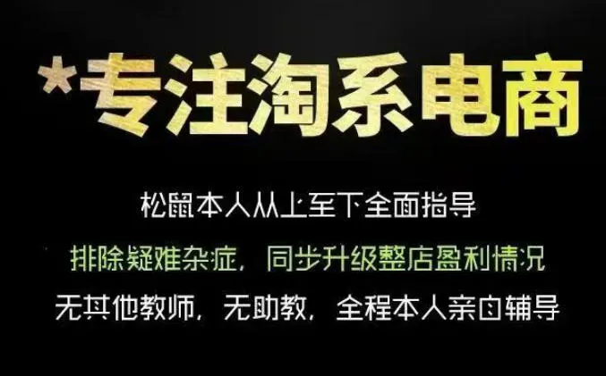 松鼠会电商VIP课程,从基础布局到高阶优化,助你掌握淘宝运营逻辑,提升店铺流量与转化(更新0809)-706资源网