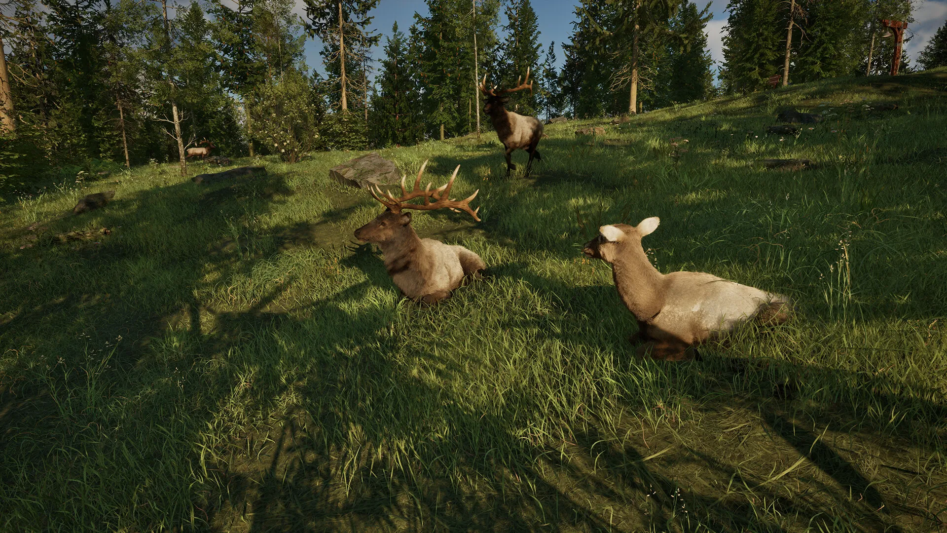 护林员之路：国家公园模拟器/Ranger’s Path: National Park Simulator-706资源网