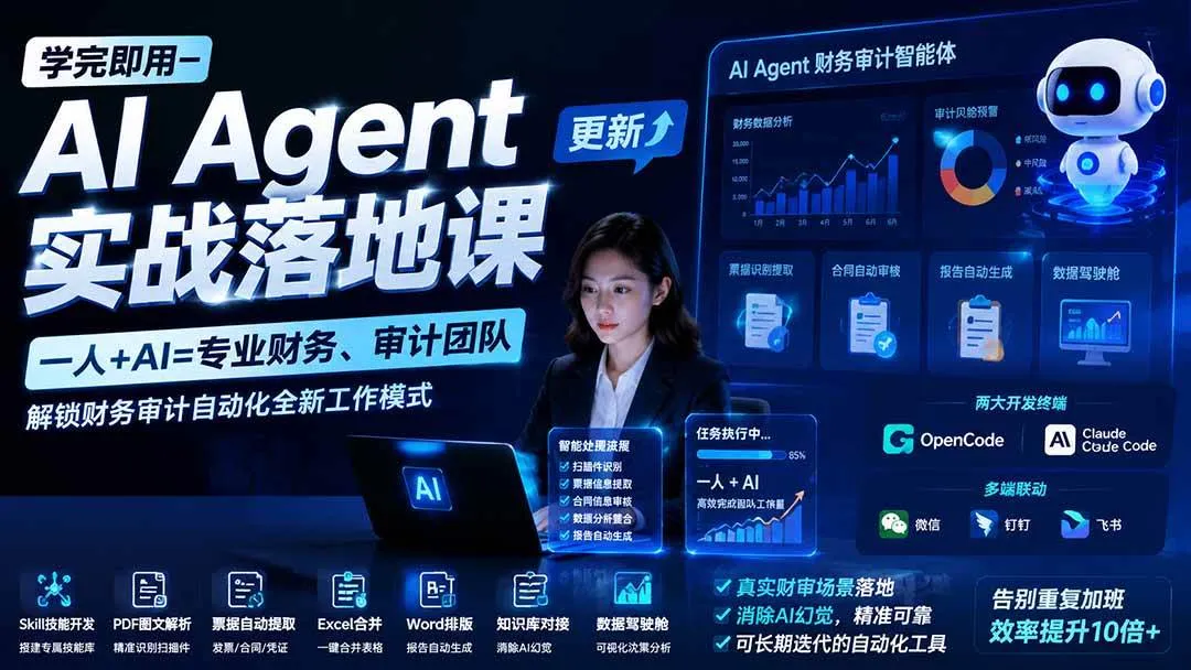 (20625期)【无水印】学完 即用-AI Agent实操落地课-更新0924:一人 + AI=专业财务、审计团队,解锁财务审计自动化全新工作模式-706资源网
