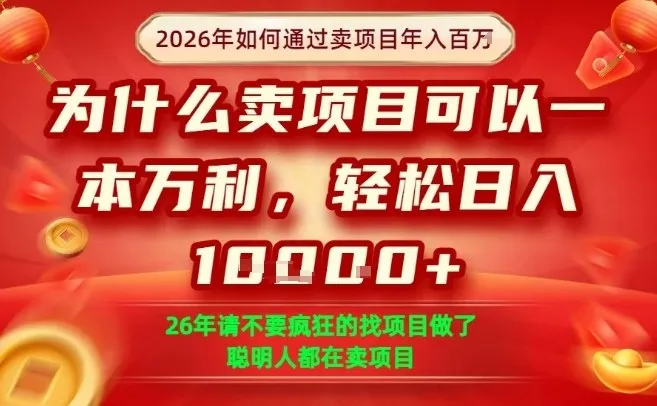 一单净利润1K+，26年想年入100个W，死磕卖项目就够了【揭秘】-706资源网