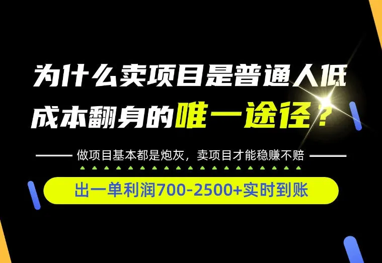 普通人如何靠互联网賺取自己的第一桶金！全类目实操型教学，看完你全都懂了！【揭秘】-706资源网