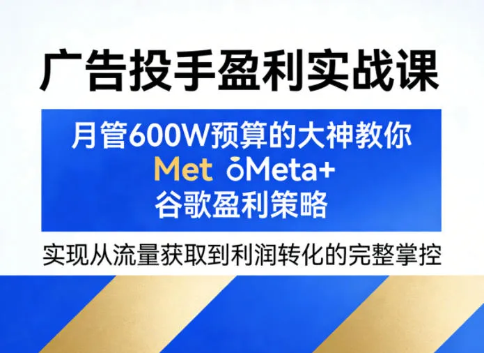 广告投手盈利实战课，月管600W预算的大神教你Meta+谷歌盈利策略，实现从流量获取到利润转化的完整掌控-706资源网