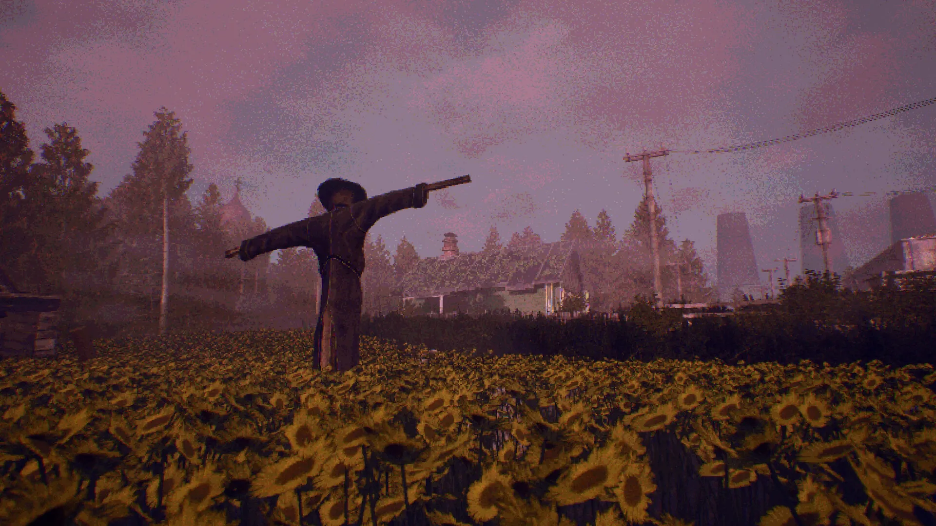 凝视之林：虱子/The Watching Woods: The Louse