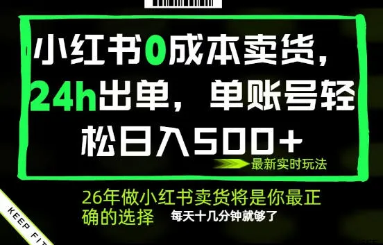 小红书0成本AI卖货，24小时出单，全流程托管，保底日入500+，每天十几分钟就够了【揭秘】-706资源网