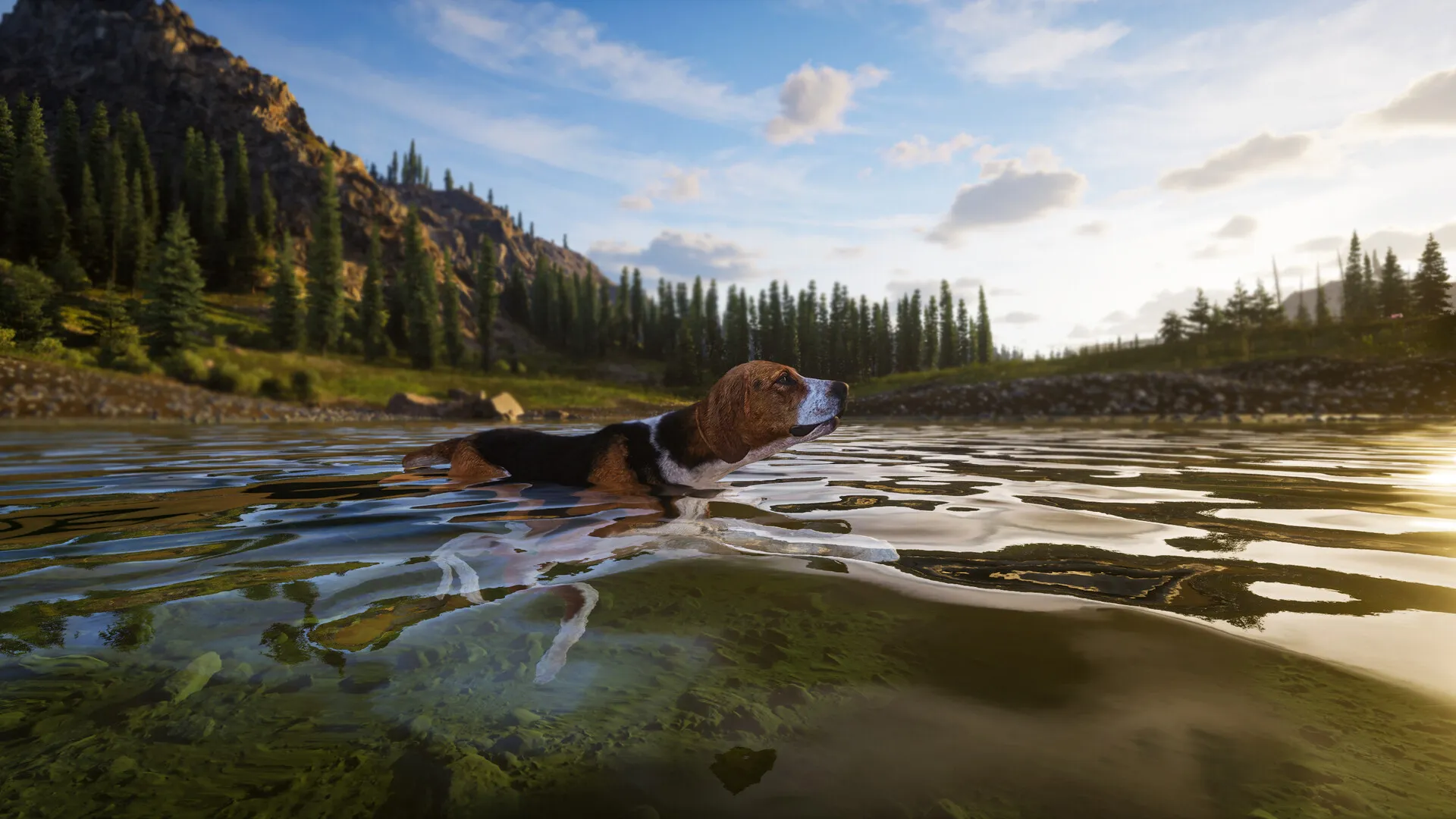 狩猎之道2/Way of the Hunter 2-706资源网