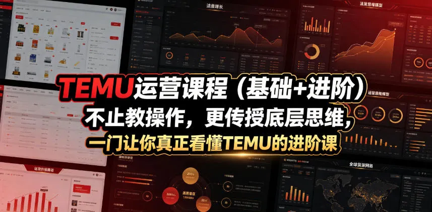 TEMU运营课程(基础+进阶)，不止教操作，更传授底层思维，一门让你真正看懂TEMU的进阶课-706资源网