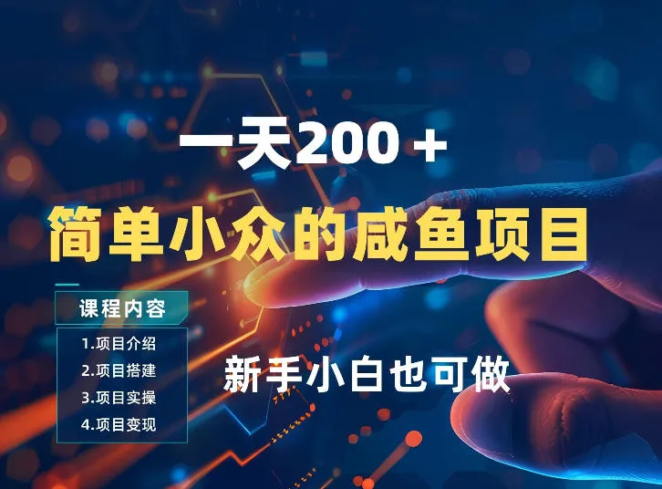 一天收入2张，一个简单小众的咸鱼项目，0门槛小白也能做-706资源网