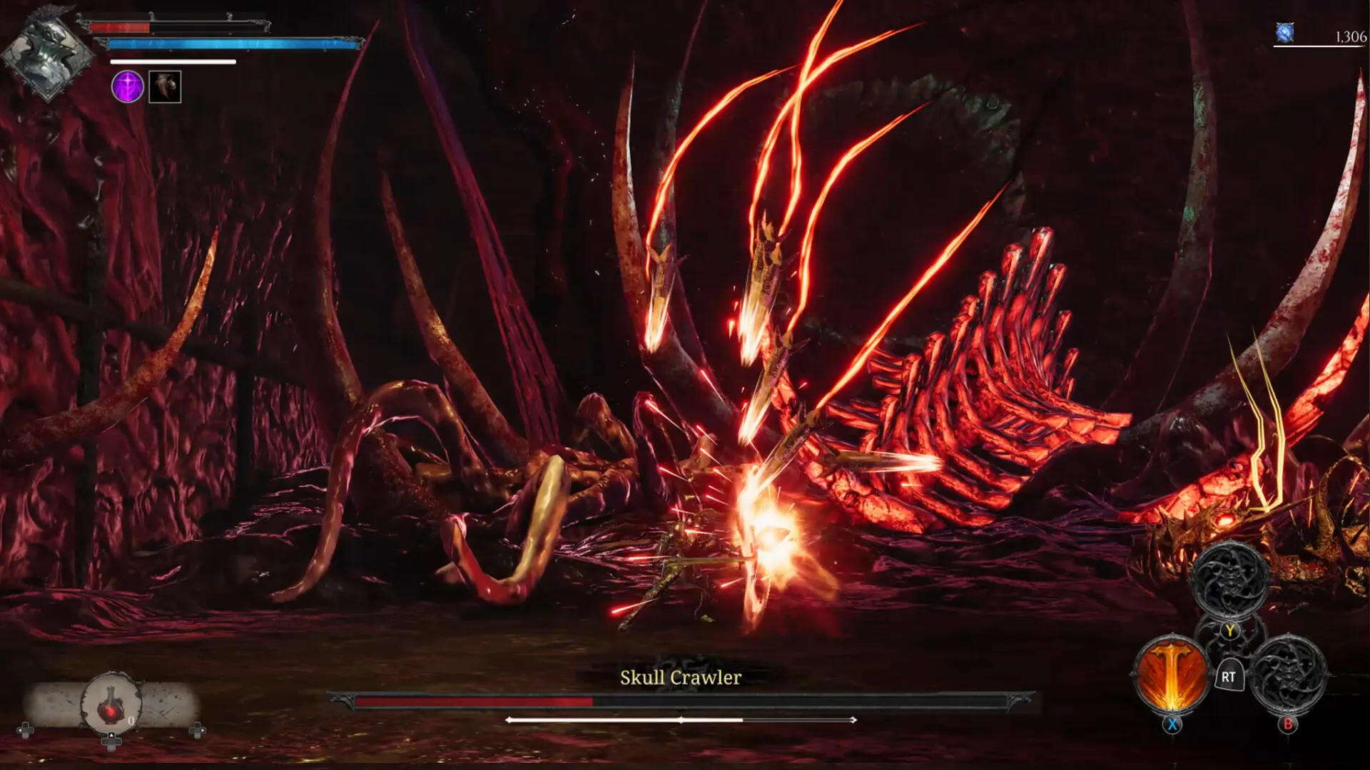 维拉斯特/VELASTER