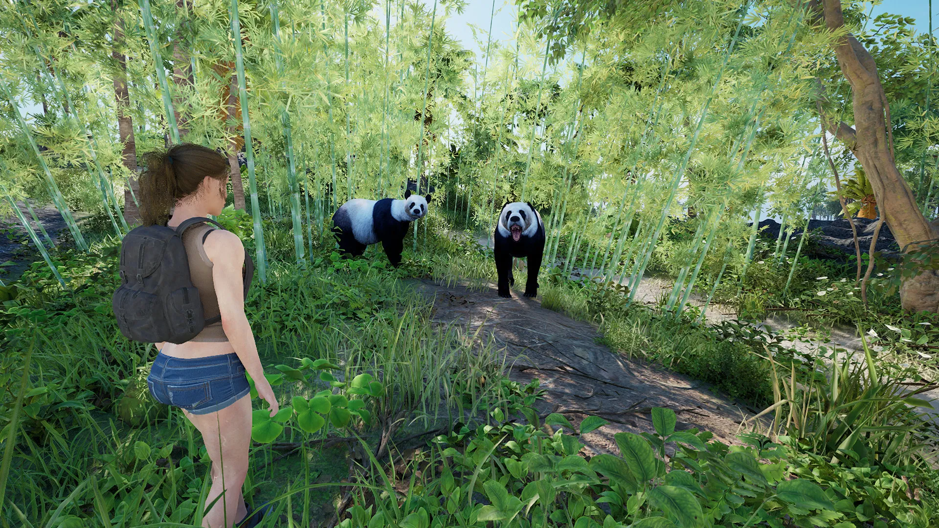 伊甸岛/Eden Island-706资源网