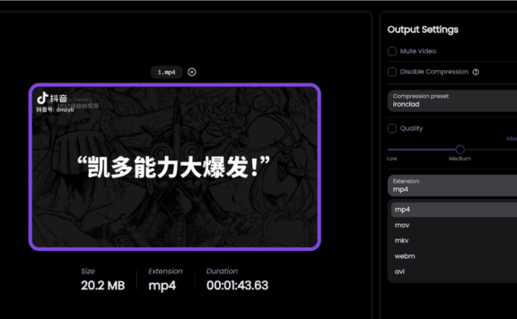 CompressO 视频压缩工具v1.2.0